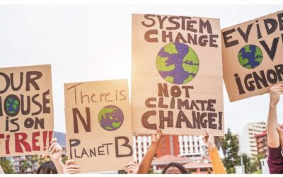 Green Circle, Annual Newsletter 2020