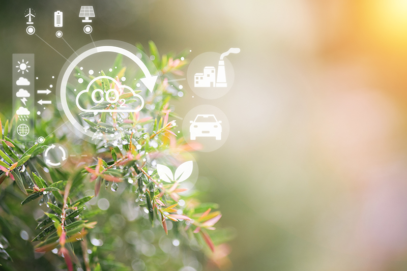 Sustainable procurement in healthcare 